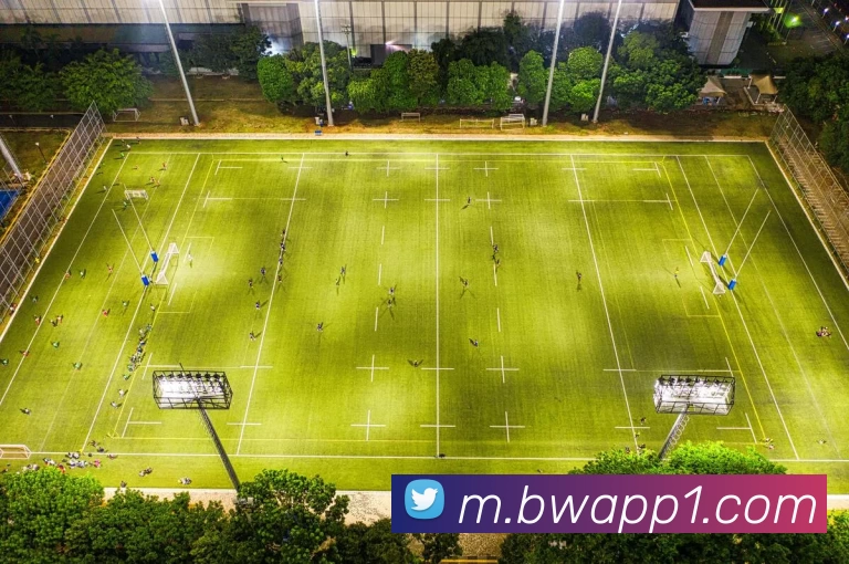 宝威体育appAPP 封面图